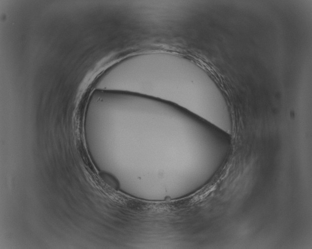 X0000067390343200603311001