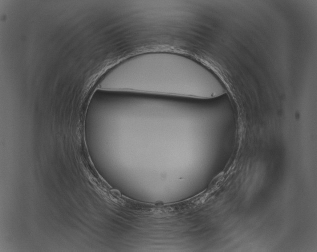 X0000067390345200603311001