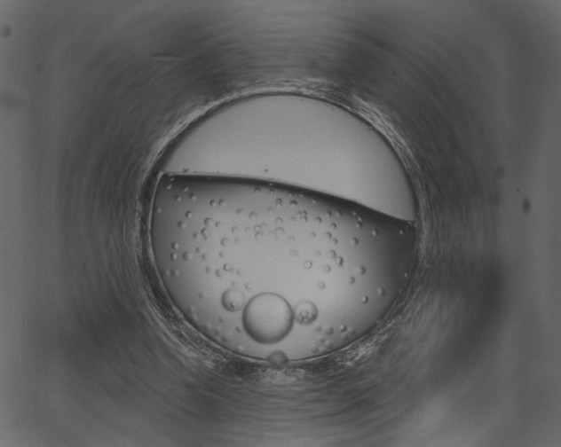 X0000067390346200603311001