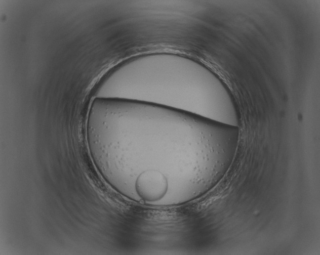 X0000067390347200603311001