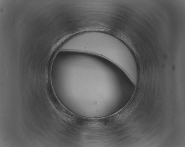 X0000067390348200603311001