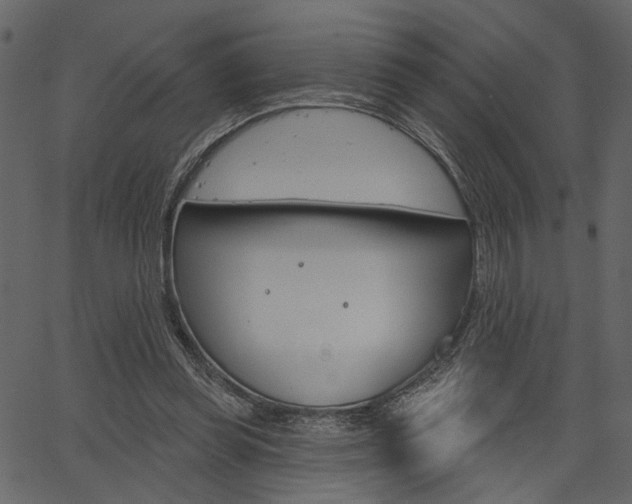 X0000067390349200603311001