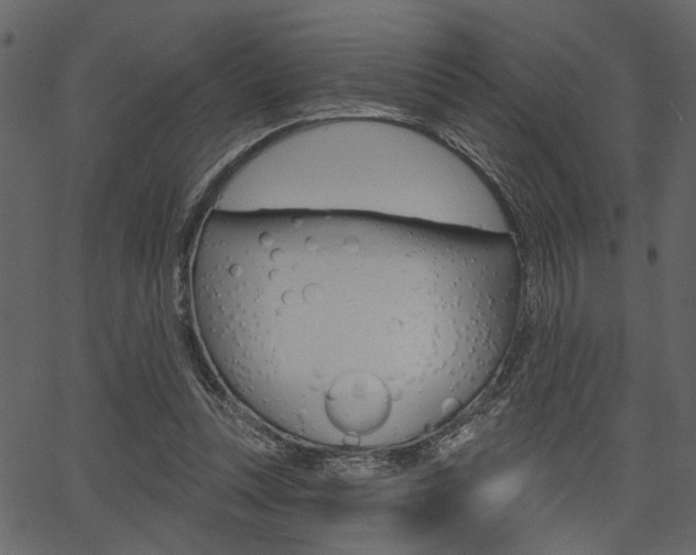 X0000067390351200603311001