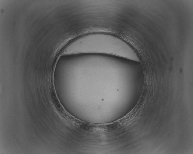 X0000067390352200603311001