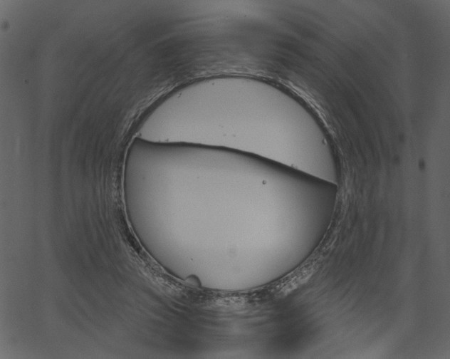 X0000067390353200603311001