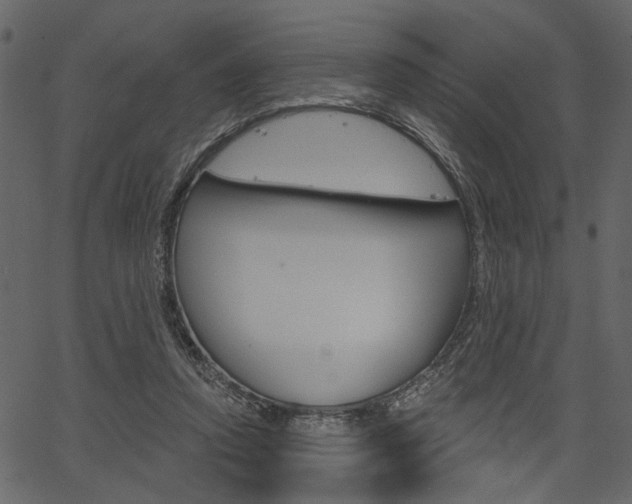 X0000067390354200603311001