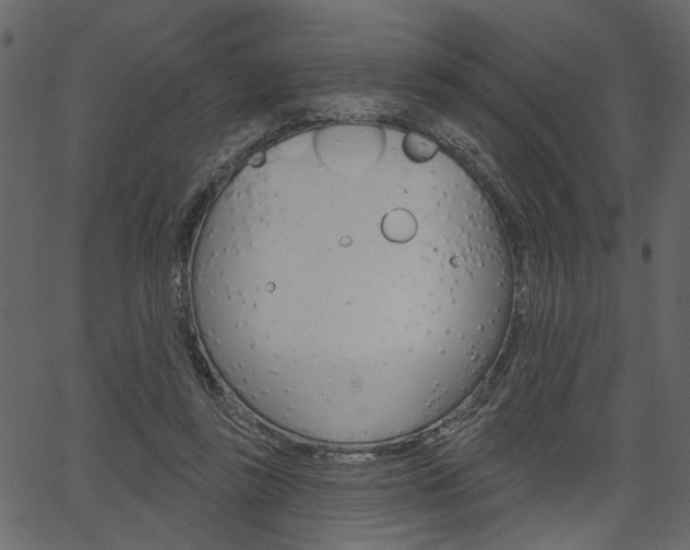 X0000067390355200603311001