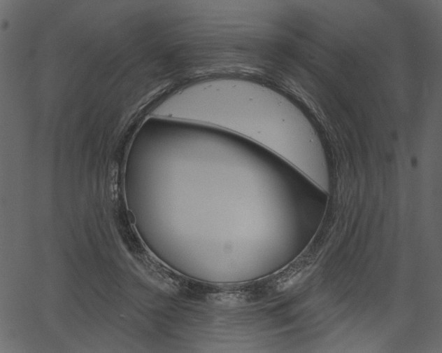 X0000067390356200603311001