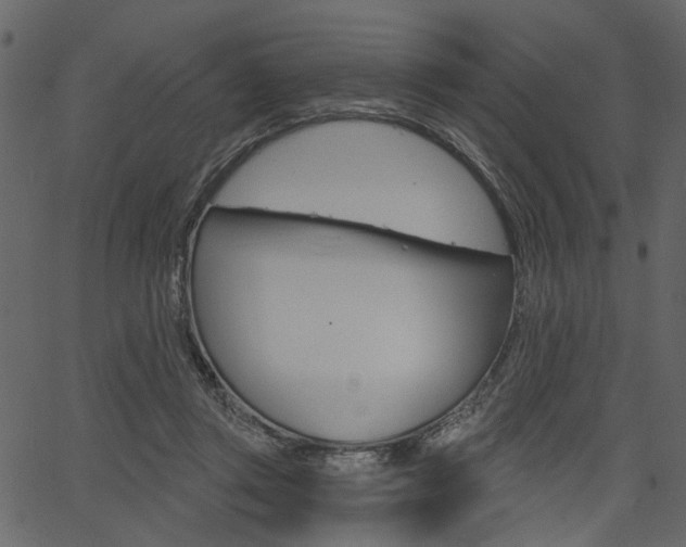 X0000067390357200603311001