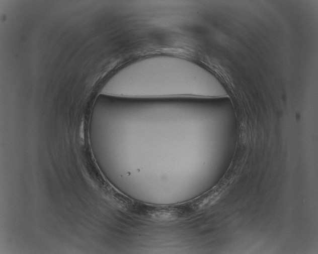 X0000067390358200603311001