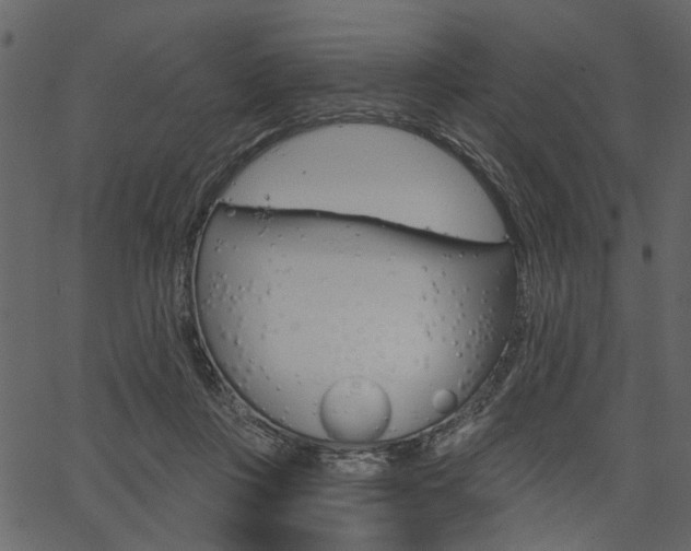 X0000067390359200603311001