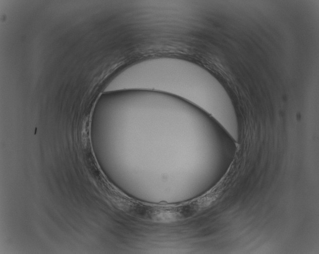 X0000067390360200603311001