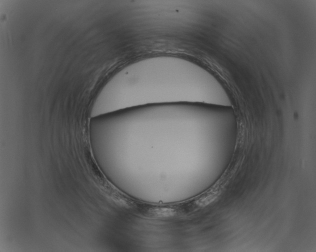 X0000067390361200603311001