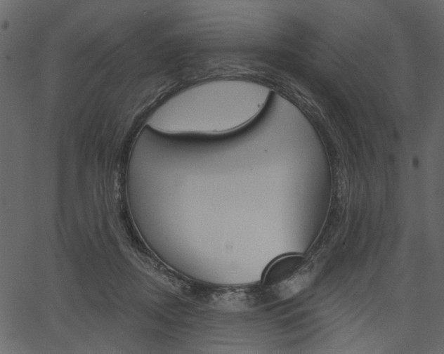 X0000067390362200603311001