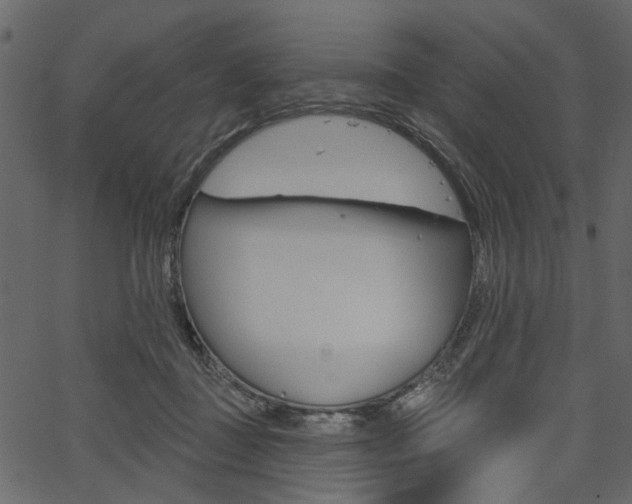 X0000067390363200603311001