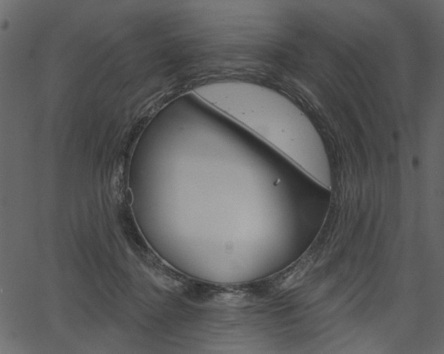 X0000067390364200603311001