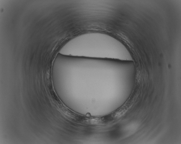 X0000067390365200603311001