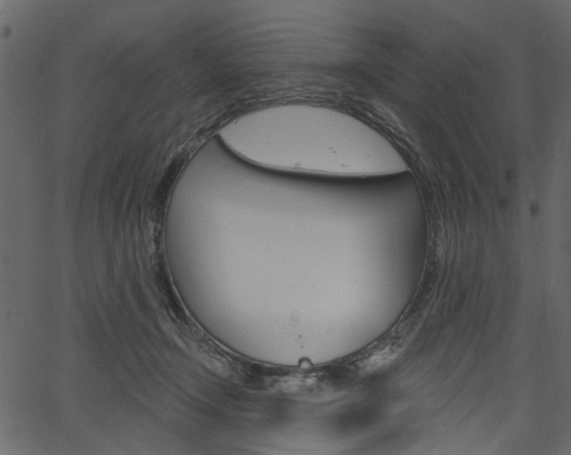 X0000067390366200603311001