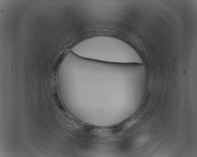 X0000067390367200603311001