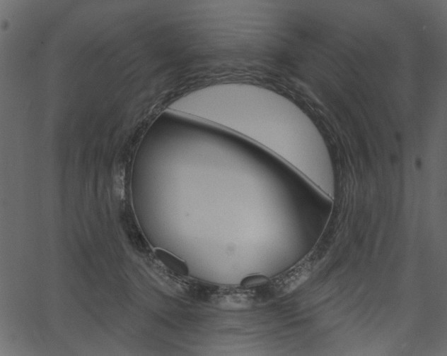 X0000067390368200603311001