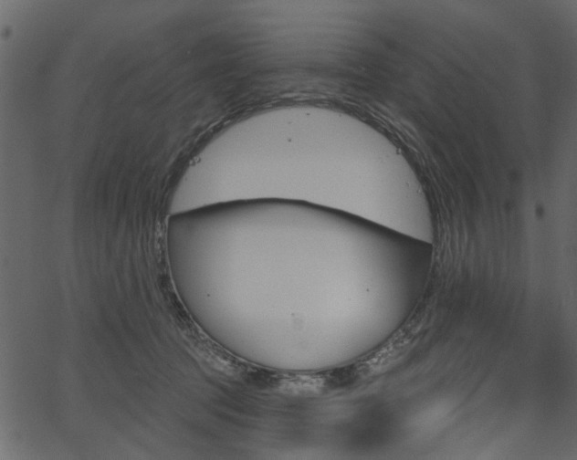 X0000067390369200603311001