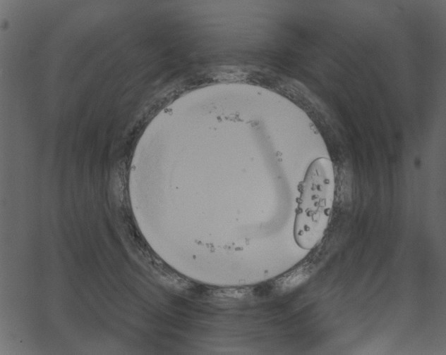 X0000067390370200603311001