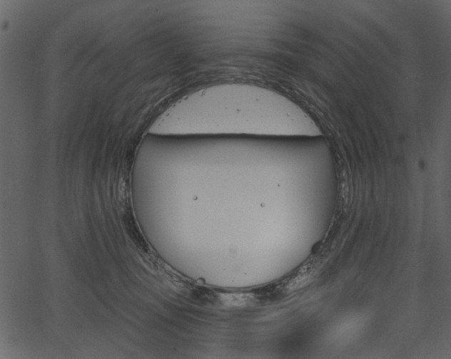 X0000067390371200603311001