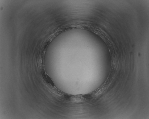 X0000067390372200603311001