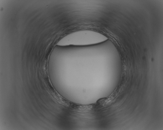 X0000067390373200603311001