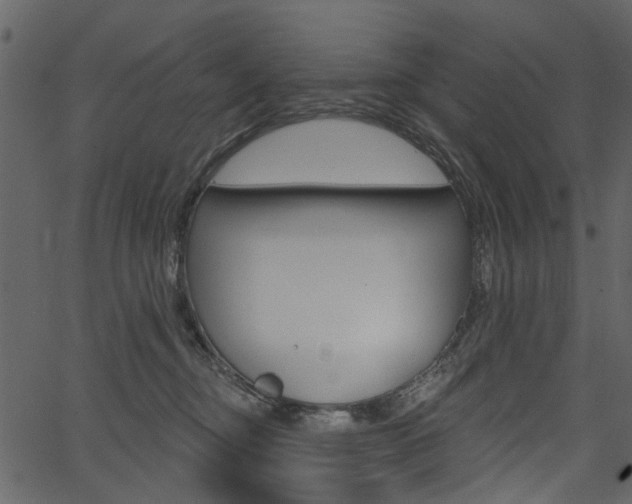 X0000067390374200603311001