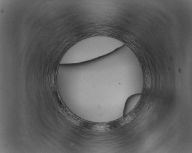 X0000067390375200603311001