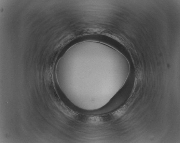 X0000067390376200603311001