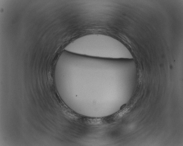 X0000067390377200603311001