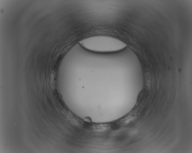 X0000067390378200603311001