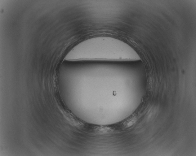 X0000067390379200603311001