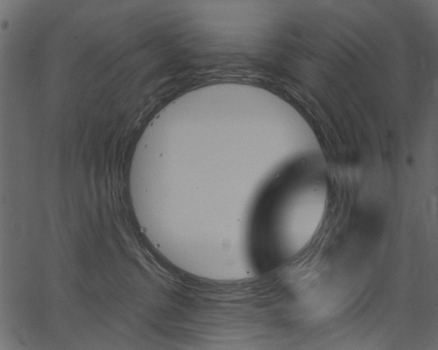 X0000067390380200603311001