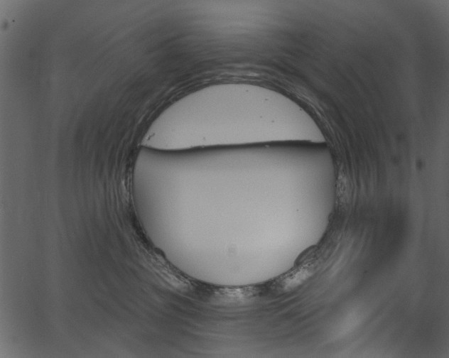 X0000067390381200603311001