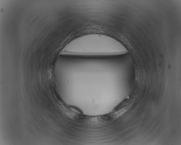 X0000067390382200603311001