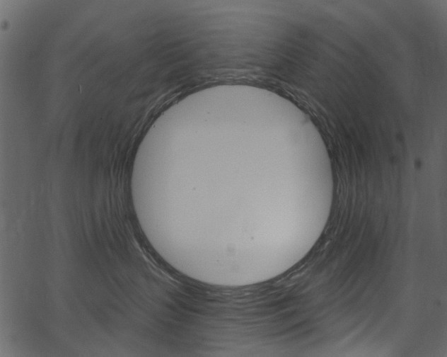 X0000067390383200603311001