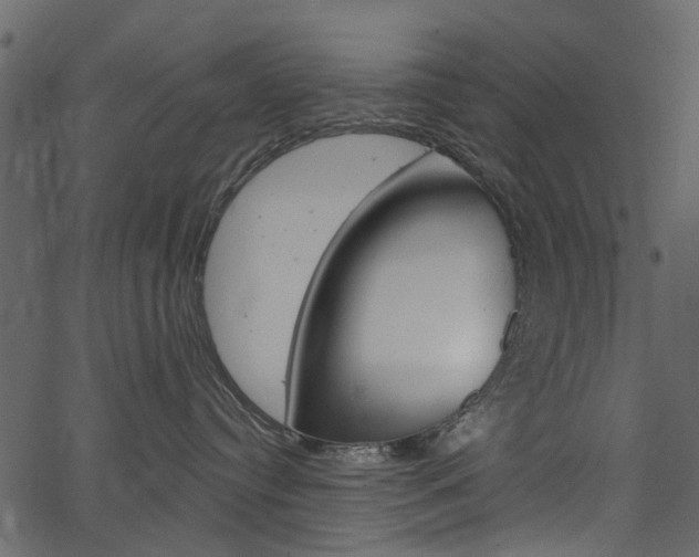 X0000067390384200603311001