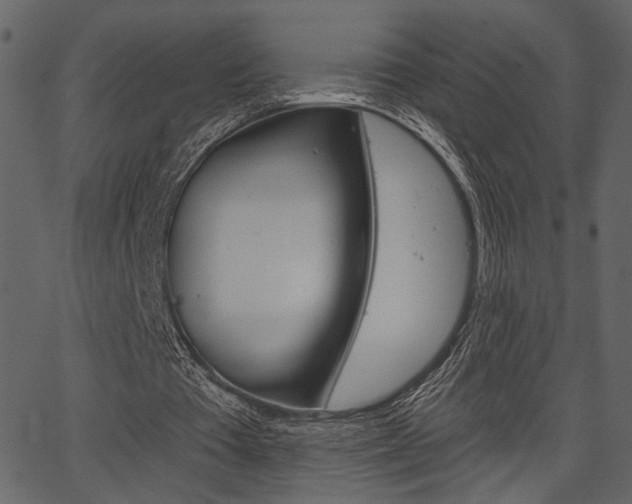 X0000067390385200603311001