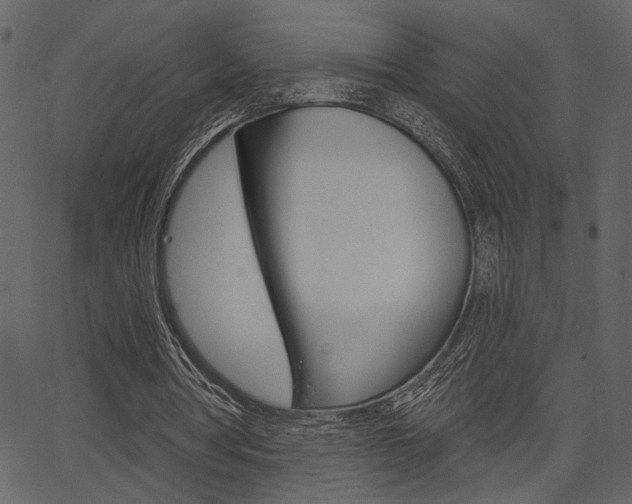 X0000067390386200603311001