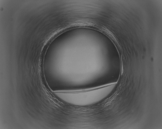 X0000067390387200603311001