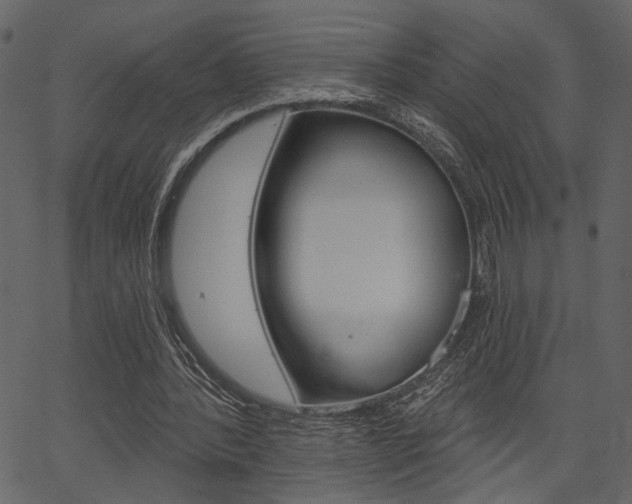 X0000067390388200603311001