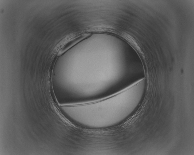 X0000067390389200603311001