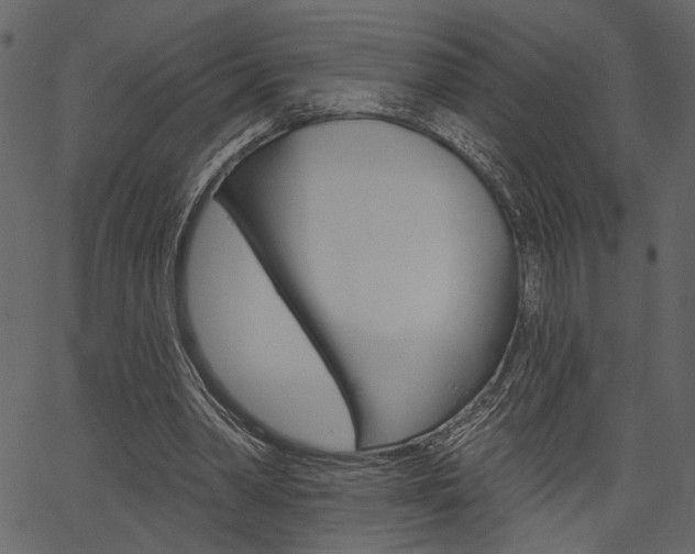 X0000067390390200603311001