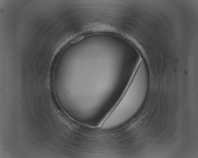 X0000067390391200603311001