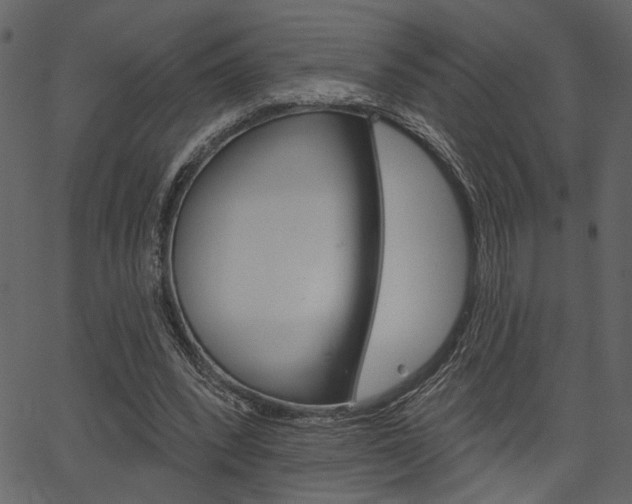 X0000067390392200603311001