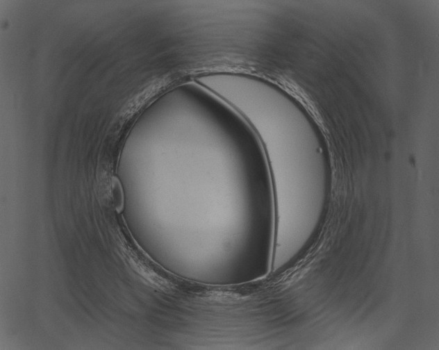 X0000067390393200603311001