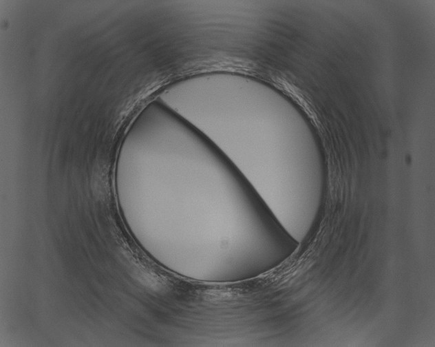 X0000067390394200603311001